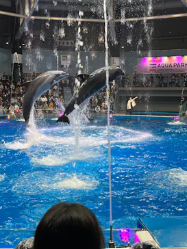 マクセル アクアパーク品川に投稿された画像（2024/1/8）