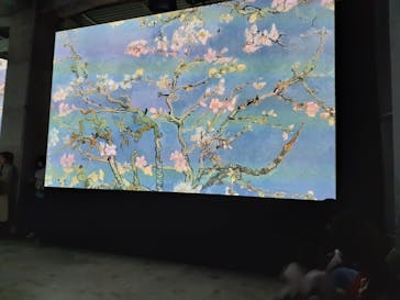 ゴッホ・アライブに投稿された画像（2024/1/8）