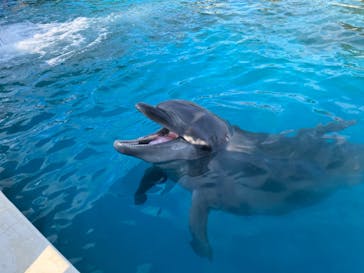 南知多ビーチランド＆南知多おもちゃ王国に投稿された画像（2024/1/8）