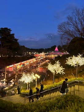 西武園ゆうえんちに投稿された画像（2024/1/8）