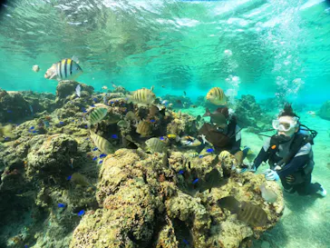 武藤潜水に投稿された画像（2024/1/8）