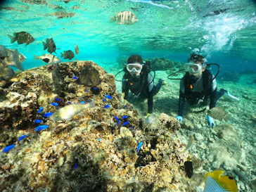 武藤潜水に投稿された画像（2024/1/8）