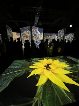 ゴッホ・アライブに投稿された画像（2024/1/8）