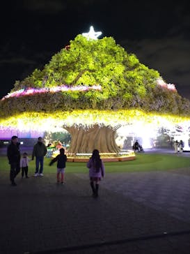 東京メガイルミに投稿された画像（2024/1/8）