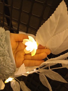 東京メガイルミに投稿された画像（2024/1/8）