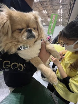 Pet博2026 横浜に投稿された画像（2024/1/8）