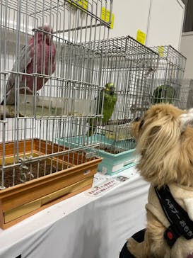 Pet博2026 横浜に投稿された画像（2024/1/8）