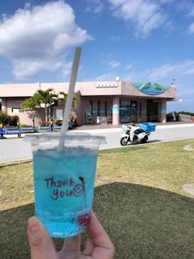 沖縄美ら海水族館（館内体験）に投稿された画像（2024/1/8）