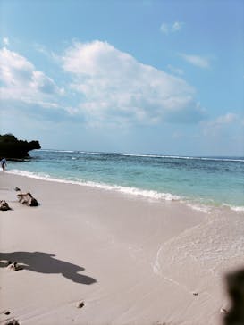 沖縄美ら海水族館（館内体験）に投稿された画像（2024/1/8）