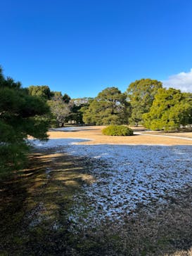 元離宮二条城に投稿された画像（2024/1/8）