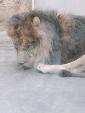 日立市かみね動物園に投稿された画像（2024/1/8）