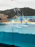 下田海中水族館に投稿された画像（2024/1/8）