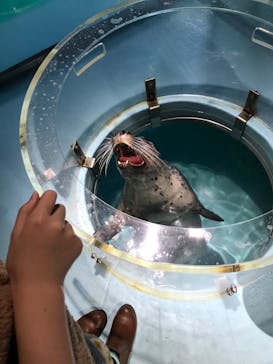 下田海中水族館に投稿された画像（2024/1/8）