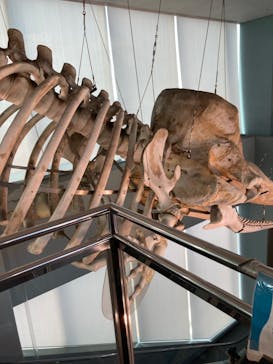 名古屋港水族館に投稿された画像（2024/1/8）