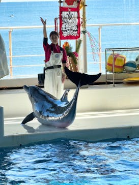 アクアワールド茨城県大洗水族館に投稿された画像（2024/1/8）