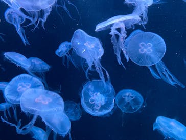 AOAO SAPPOROに投稿された画像（2024/1/8）