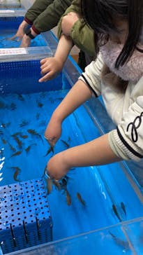 越前松島水族館に投稿された画像（2024/1/8）