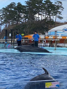 越前松島水族館に投稿された画像（2024/1/8）