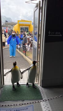 越前松島水族館に投稿された画像（2024/1/8）