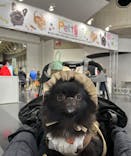 Pet博2026 横浜に投稿された画像（2024/1/8）