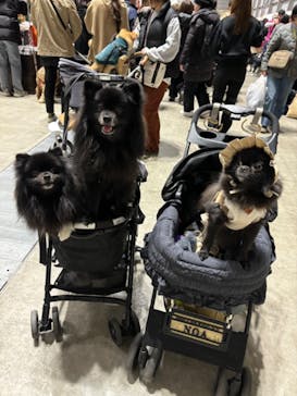 Pet博2026 横浜に投稿された画像（2024/1/8）