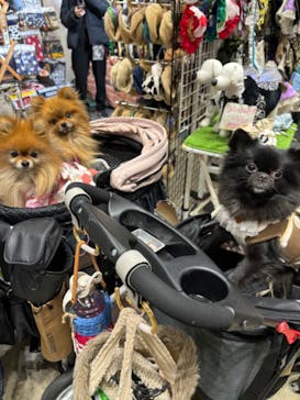 Pet博2026 横浜に投稿された画像（2024/1/8）