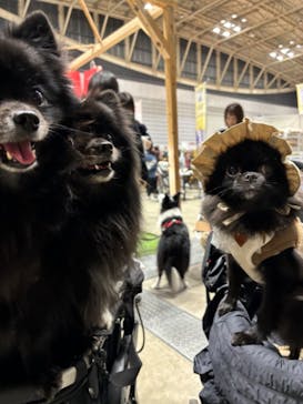 Pet博2026 横浜に投稿された画像（2024/1/8）