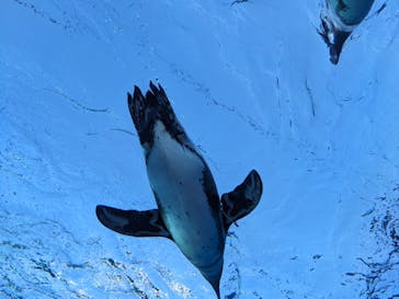 サンシャイン水族館に投稿された画像（2024/1/8）