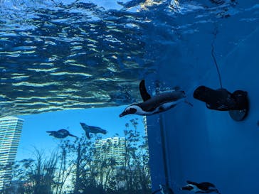 サンシャイン水族館に投稿された画像（2024/1/8）