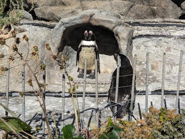 サンシャイン水族館に投稿された画像（2024/1/8）