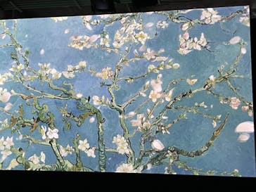 ゴッホ・アライブに投稿された画像（2024/1/8）