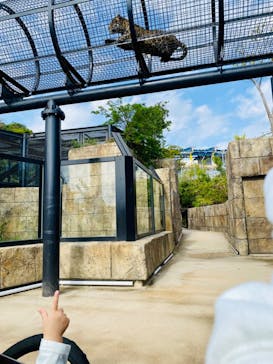 沖縄こどもの国に投稿された画像（2024/1/8）