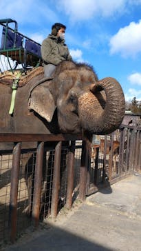 那須サファリパークに投稿された画像（2024/1/8）