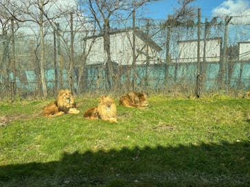 那須サファリパークに投稿された画像（2024/1/8）