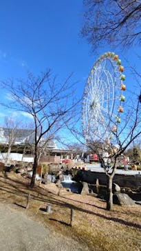 世界淡水魚園水族館　アクア・トトぎふに投稿された画像（2024/1/8）