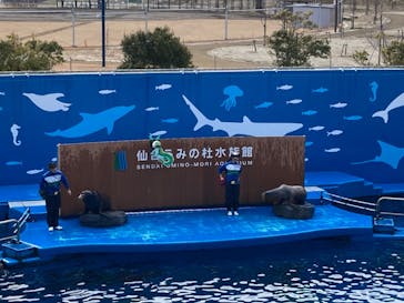 仙台うみの杜水族館に投稿された画像（2024/1/8）