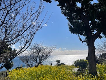 ニューヨークランプミュージアム＆フラワーガーデンに投稿された画像（2024/1/8）