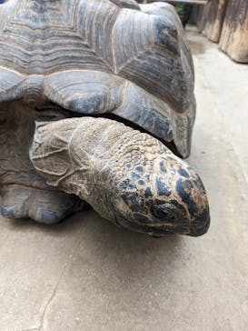 神戸どうぶつ王国に投稿された画像（2024/1/8）