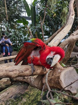 神戸どうぶつ王国に投稿された画像（2024/1/8）