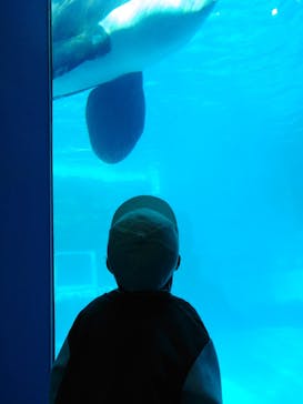 名古屋港水族館に投稿された画像（2024/1/8）