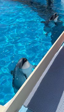 マリンワールド海の中道に投稿された画像（2024/1/8）