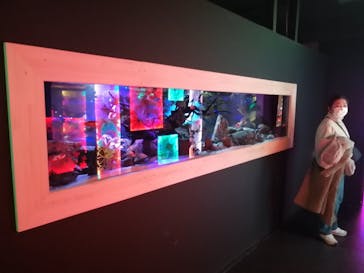 NARA KINGYO MUSEUMに投稿された画像（2024/1/8）