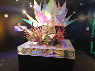 NARA KINGYO MUSEUMに投稿された画像（2024/1/8）