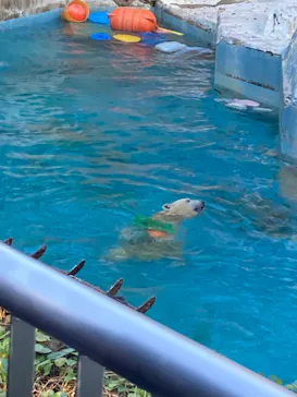 天王寺動物園に投稿された画像（2024/1/8）