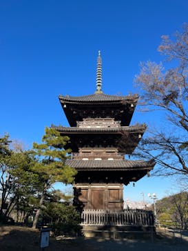 三溪園に投稿された画像（2024/1/8）