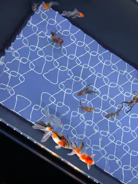 すみだ水族館に投稿された画像（2024/1/8）