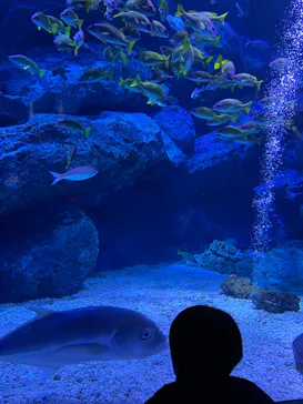 すみだ水族館に投稿された画像（2024/1/8）