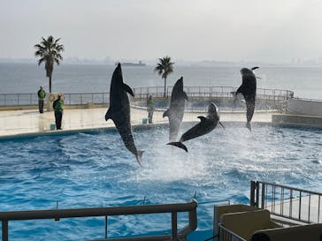 マリンワールド海の中道に投稿された画像（2024/1/8）