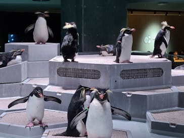 AOAO SAPPOROに投稿された画像（2024/1/8）