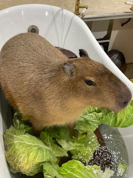 アニタッチアクアシティお台場に投稿された画像（2024/1/8）